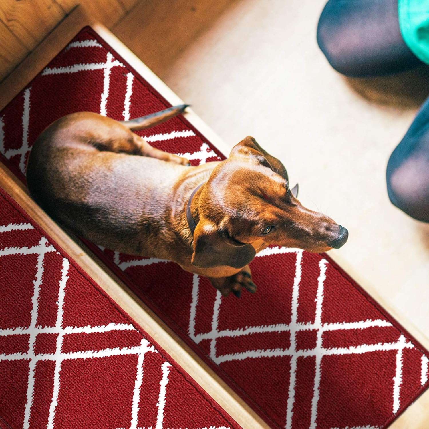 Carpet Stair Treads for Wooden Steps - Indoor Staircase Step Treads with Thick Carpet & Pattern Design - Self Adhesive Safety Treads to Prevent Slipping - Pet & Kid-Friendly - 10-Pack